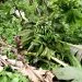 IMG 20211014 WA0049