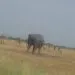 IMG 20211026 WA0046