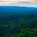 Bassin forestier du Congo