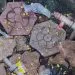 IMG 20211112 WA0003