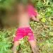 IMG 20211118 WA0019