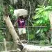 IMG 20211123 WA0004