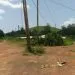 IMG 20220119 WA0051