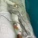 IMG 20220125 WA0085