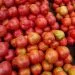 IMG 20220209 WA0019