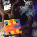 IMG 20220210 WA0005