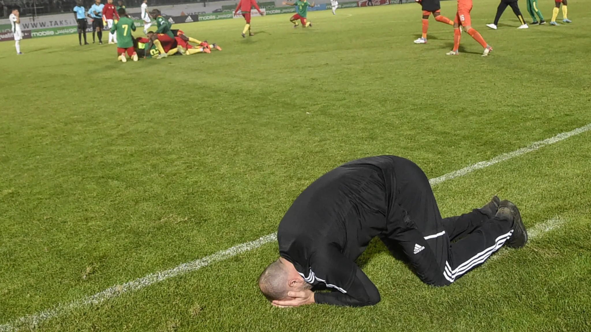 Djamel Belmadi 1381295