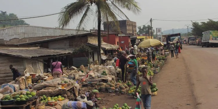 Fruits And Vegetable Market In Penja   Cameroon 1