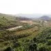 Terres Cultivables Ouest Cameroun