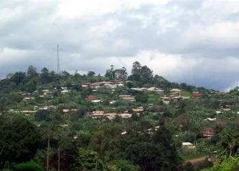 Bali N 780x440 1