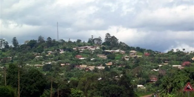 Bali N 780x440 1