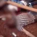 IMG 20220412 WA0147