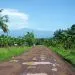 Mount Cameroon From Tiko