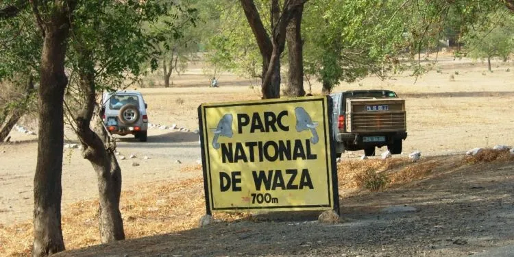 Parc National De Waza Cameroun