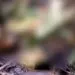 IMG 20220502 WA0049