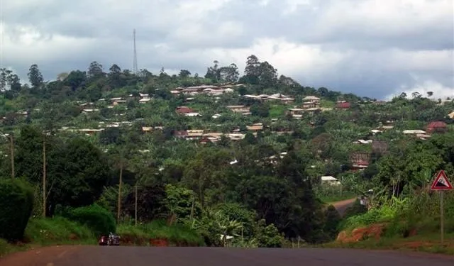 Bali N