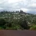 Bali N