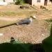 IMG 20220607 WA0063