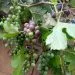 IMG 20220616 WA0011