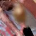 IMG 20220620 WA0068