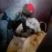 IMG 20220621 WA0063