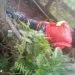 IMG 20220625 WA0046