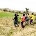 IMG 20220627 WA0056