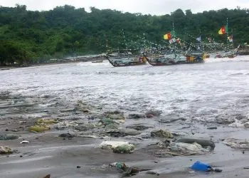 LIMBE 1