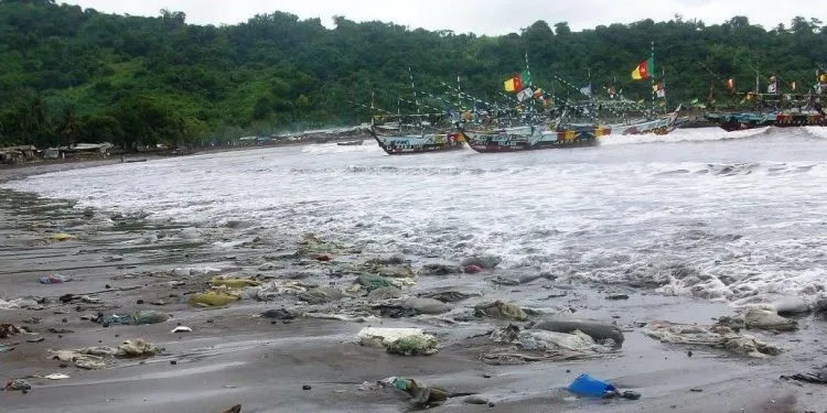 LIMBE 1