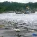 LIMBE 1