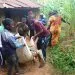 WhatsApp Image 2022 06 09 At 12.40.12 PM