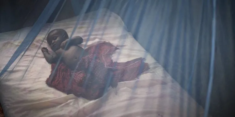 Bednet 2