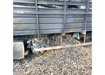 IMG 20220705 WA0029