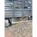 IMG 20220705 WA0029