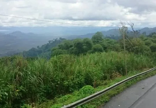 IMG 20220718 WA0028