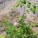 IMG 20220803 WA0139