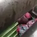 IMG 20220808 WA0106