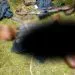 IMG 20220809 WA0044