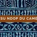 Tissu Ndop Cameroun
