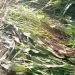 IMG 20220914 WA0002