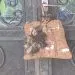 IMG 20220927 WA0064