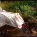 IMG 20221004 WA0056