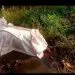IMG 20221006 WA0014
