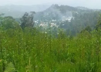 IMG 20221012 WA0147