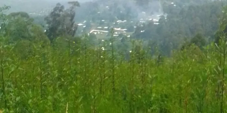 IMG 20221012 WA0147