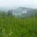 IMG 20221012 WA0147