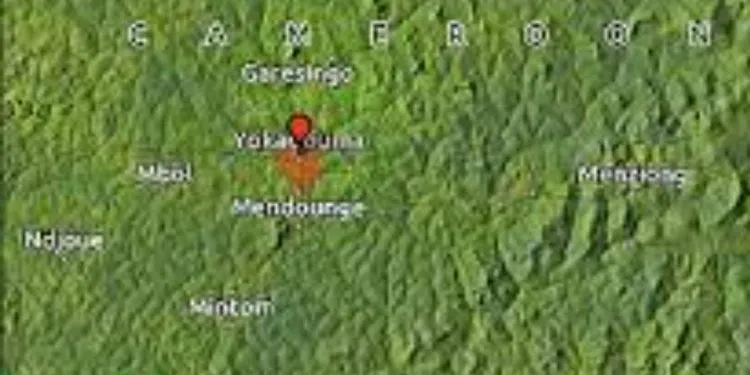 IMG 20221015 WA0031