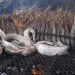 IMG 20221021 WA0025 1