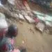 IMG 20221026 WA0045