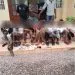 IMG 20221027 WA0045